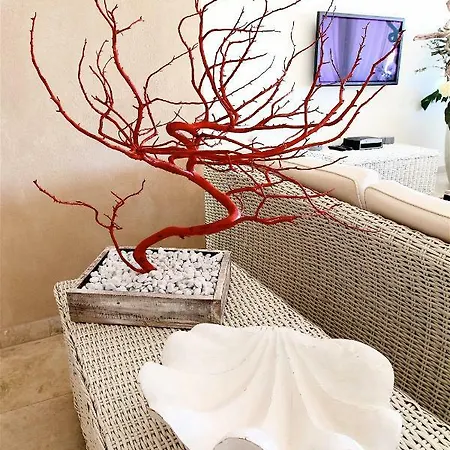 Bagni Lido Hotel Vada